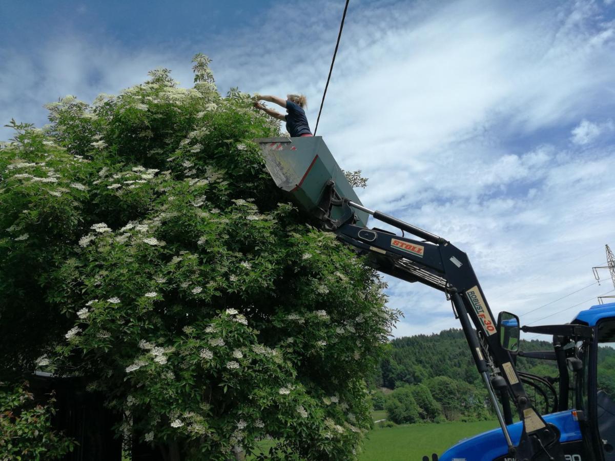 Ferienwohnungen Oranhof Velden am Wörthersee Екстериор снимка