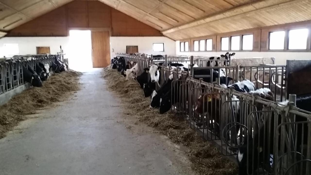 Ferienwohnungen Oranhof Velden am Wörthersee Екстериор снимка